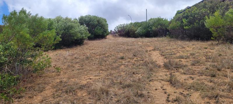 0 Bedroom Property for Sale in Dana Bay Western Cape